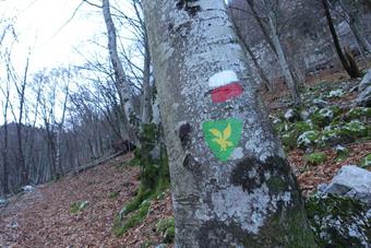 Il simbolo del Corpo Forestale Regionale, che funge da segnavia per tutto il percorso, in questo caso affiancato dal segnavia CAI.
