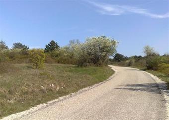 Lasciato il Cippo Xydias ritorniamo quindi alla curva della rotabile dove, svoltando a sinistra, ci ricolleghiamo all'itinerario, proseguendo verso il pannello informativo della Dolina Acquedotto (foto 15). 