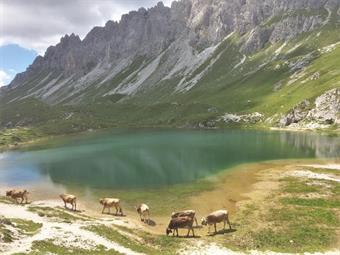 Una breve discesa conduce al bacino superiore, dove si notano i ruderi dell'ex Rifugio Laghi d'Olbe.