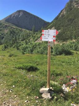 Percorrendo a ritroso la via dell'andata, raggiungiamo quindi il bivio con la carrareccia contrassegnata dal CAI 140, dove a seconda dell'itinerario percorso rientriamo a Sappada o Cima Sappada.