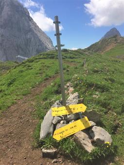 Il sentiero segnalato si dirige agevolmente ad un evidente insellatura, dove si ricongiunge al percorso proveniente dalla Wolayerseehütte. 