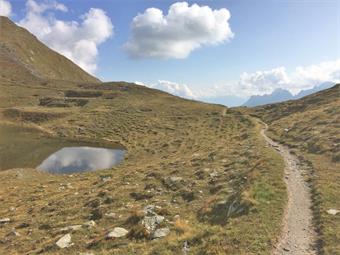 Ignorando le indicazioni dei percorsi diretti nel fondovalle austriaco e la prosecuzione dell'ÖAV 403, costeggiando lo specchio d'acqua, seguiamo ora l'AVS 14, diretto lungamente alle Malghe Klammbach e Nemes.