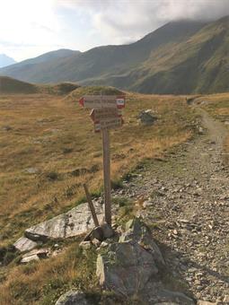 Dall'ampio valico scendiamo lungo il CAI 146 in Vallorera fino al sottostante bivio.