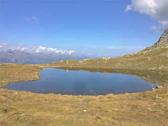 Un'alternativa più breve e con minor dislivello, prevede invece di seguire a ritroso (sempre dal Passo Silvella) la seconda parte dell'itinerario precedentemente citato sino alla Sella di Nemes/Hochgräntenjoch ed allo Schwarzsee.