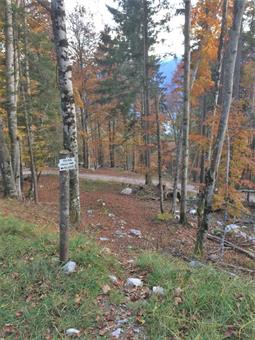 Ulteriori scorciatoie segnalate del Trail delle Malghe, permettono di evitare numerosi tornanti dello sterrato.