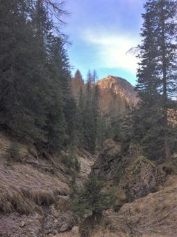 Il tracciato a volte si perde nei pascoli ormai abbandonati, ma è sufficente puntare alla sagoma boscosa del Monte Cassoi per non smarrire la giusta direzione.