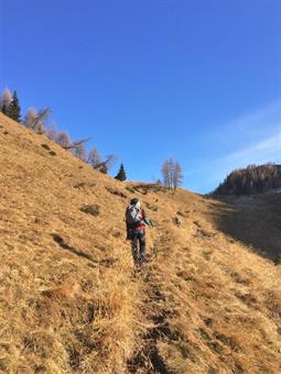 Un traverso verso destra conduce fuori dalla vegetazione arborea e ritrovato un sentiero ben marcato, ci dirigiamo alla Sella del Monte Verna.