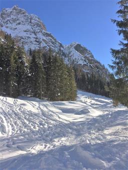 Un paio di svolte ravvicinate, con sullo sfondo le vette innevate dei Monti Chiadin e Casaro, ci fanno guadagnare subito quota, quando siamo giunti circa metà del percorso.