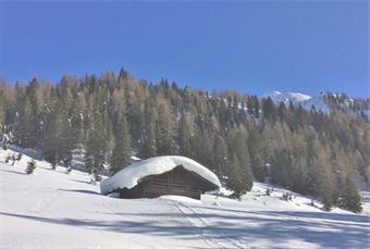 Un ponticello in pietra a doppia arcata porta alle pittoresche radure dei Fienili di Sesis.