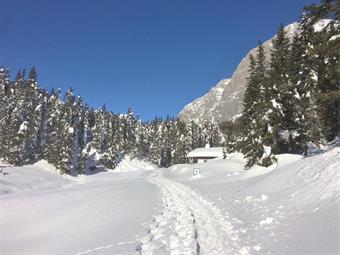 Un breve rettilineo conduce quindi al Pian dei Pastori con il grazioso Ochsn Hütte.