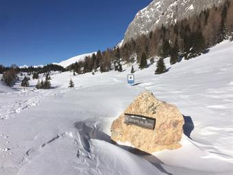 Un rettilineo con alcune svolte conduce infine al Rifugio Sorgenti del Piave.