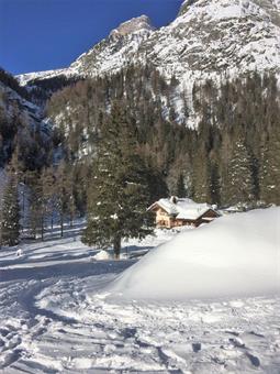 Dall'Ochsn Hütte, proseguendo lungamente verso meridione, raggiungiamo nuovamente la Baita Rododendro.