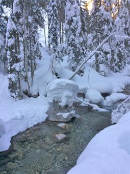 Il percorso, riservato durante la stagione invernale ad escursionisti particolarmente esperti di ambiente innevato, scende al corso del  Piave con tratti impegnativi.
