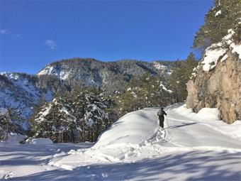 Rasentando imponenti pareti rocciose, valicato un ponticello sul Rio Stabet, affrontiamo quindi una serie ravvicinata di svolte, con scorci panoramici sul Monte Cucco.