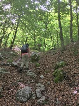 Percorrendo brevemente una forestale, valichiamo un ponticello sul torrente Rociča e svoltando a sinistra con un'erta risalita, arriviamo al bivio successivo.