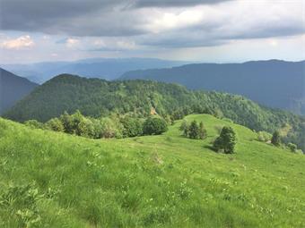 Un ampio pendio prativo scende gradualmente nel versante opposto, in direzione della bososa altura del Pleče.