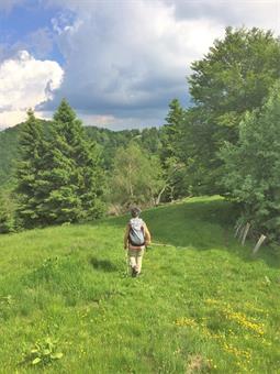 Costeggiando una recinzione pascoliva, nei pressi della Planina Baba, scendiamo verso la sottostante insellatura.