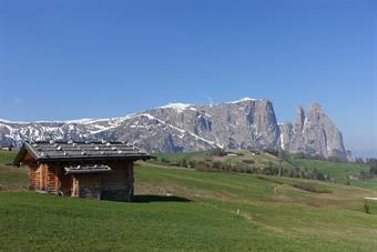 Monte Petz (o Monte Pez) - Sciliar - dall'Alpe di Siusi