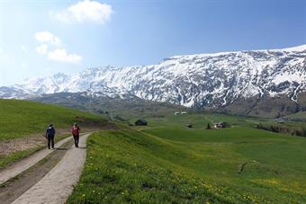 Percorrendo il margine orientale dell'Alpe di Siusi in direzione della Saltner Hütte