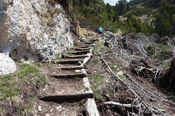 Scalini di legno sul sentiero che risale il vallone sul versante est della Croda del Maglio