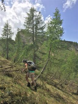 Rasentando a mezzacosta con un traverso la quota sovrastante, doppiamo uno spallone boscato, notando fra gli alberi l'inconfondibile sagoma del Monte Lagna.