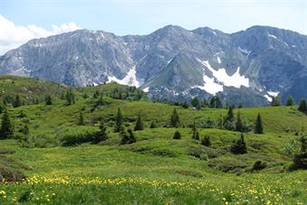 Lo Zermula dai prati prima di Sella di Cordin