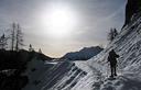 15-La pista forestale che scende verso Sauris di Sotto