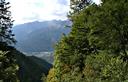 15-Bosco misto lungo la discesa dal Monte Tersadia