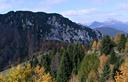 21-Bosco autunnale presso la vetta della Slenza Est