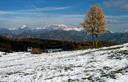 17-Il gruppo del monte Valcalda da malga Valinis