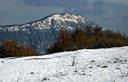 18-Il monte Taiet da malga Valinis