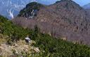 24-Boscaglia di mugo presso la vetta del monte Cimadors