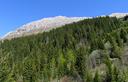 08-La cresta del monte Zabus dal sentiero presso i piani del Montasio