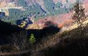 10-Il ripido pendio erboso che conduce sulla cresta ovest del monte Piombada