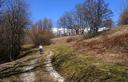 28-La pista forestale che da Certegna scende verso il Natisone