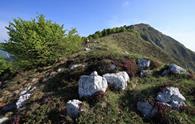 Monte Castelat e Pala dal Tei dal Pian delle More<!--cjastelat chiastelat d'altei-->