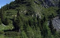 Nauleni (forchia) - panorama parziale dalla forcella