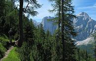 Anello della Porticina dai Laghi di Fusine