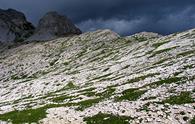 Pian delle Streghe da Sauris di Sopra