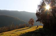 Sulla dorsale tra Cosizza ed Erbezzo da Clodig a Merso di Sopra