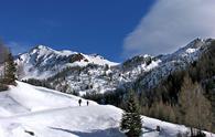 Casera Tragonia da Forni di Sopra