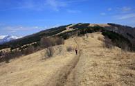 Monte Joanaz da Faedis