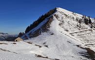 Monte Acomizza dalla Valle di Ugovizza