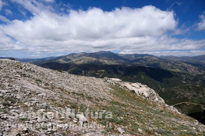 06-Panorama dalla cima del monte Margiani verso il Gennargentu