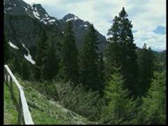 SentieriNatura 2008 - 03 - La Val Vajont 