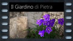 Il Giardino di Pietra - Documentario 2013