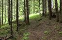 03-La foresta di Chiaula