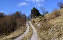 26-La carrareccia che dalla Forchia scende verso Vito d'Asio