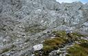 04-Alla base delle rocce sul versante nord del monte Tinisa