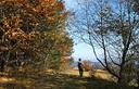 12-Bosco autunnale lungo il sentiero CAI n.747 tra Covacevizza e il monte San Giovanni